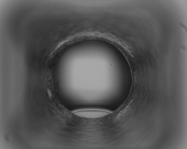 X0000092001494200709061230