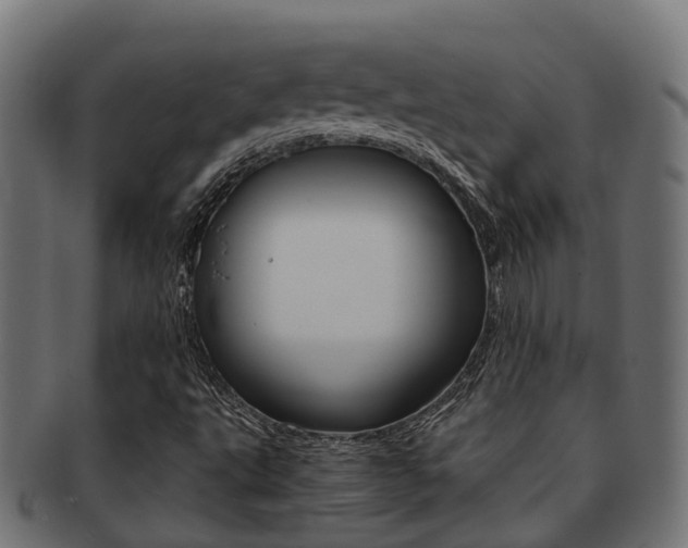 X0000092001495200709061230