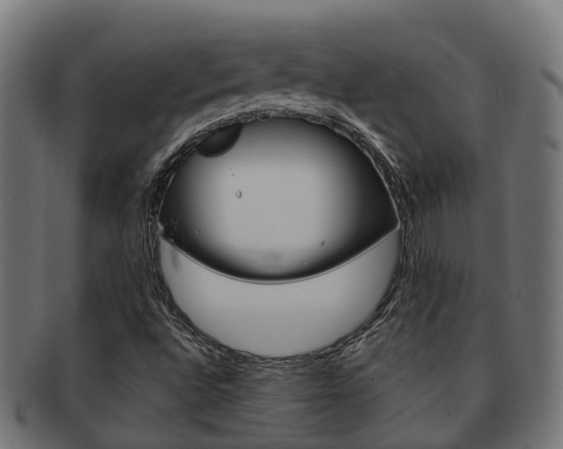 X0000092001496200709061230