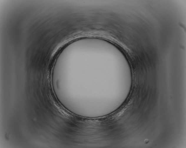X0000092001498200709061230