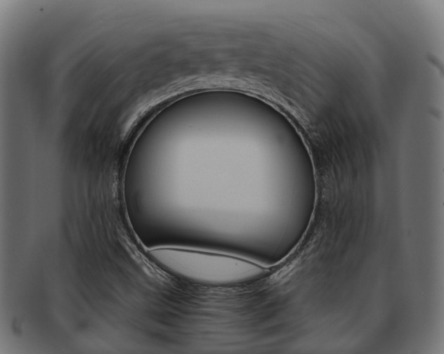 X0000092001499200709061230