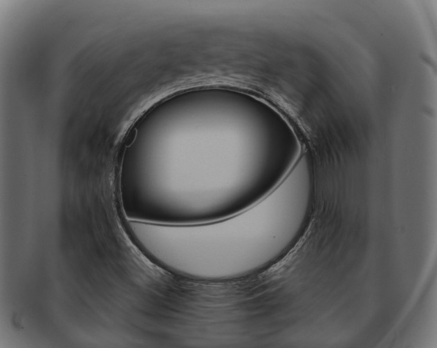 X0000092001500200709061230