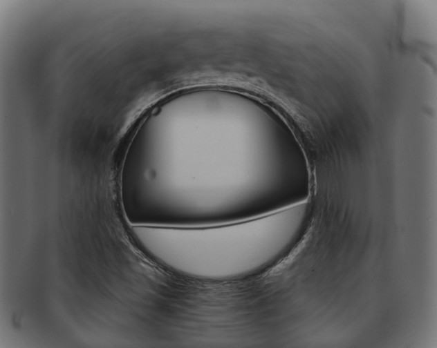 X0000092001501200709061230