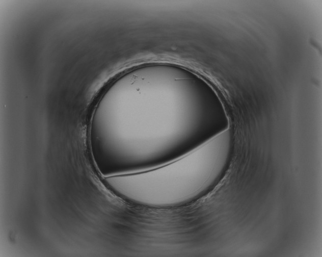 X0000092001503200709061230