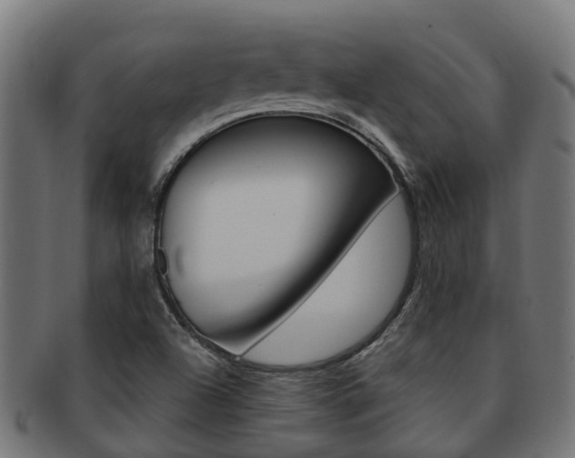 X0000092001504200709061230