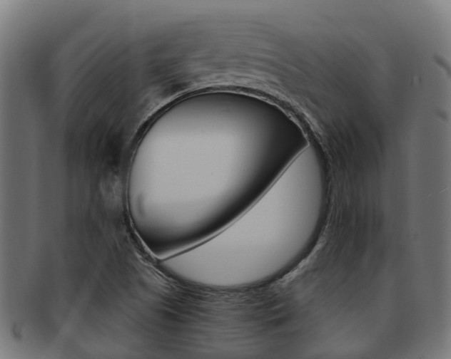 X0000092001505200709061230