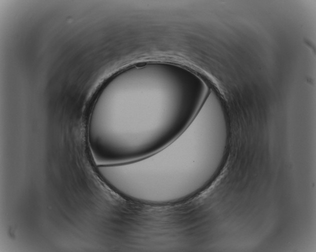 X0000092001506200709061230