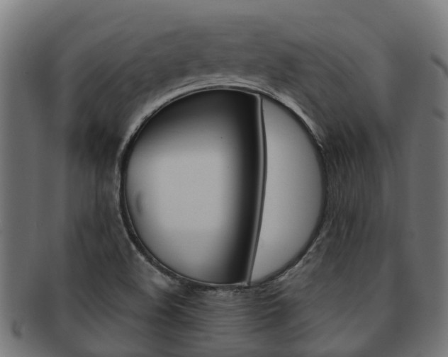 X0000092001508200709061230