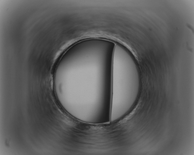 X0000092001509200709061230