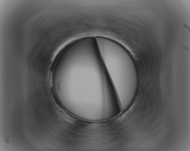 X0000092001510200709061230