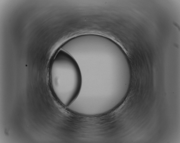 X0000092001511200709061230