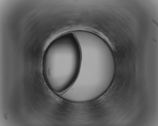 X0000092001512200709061230