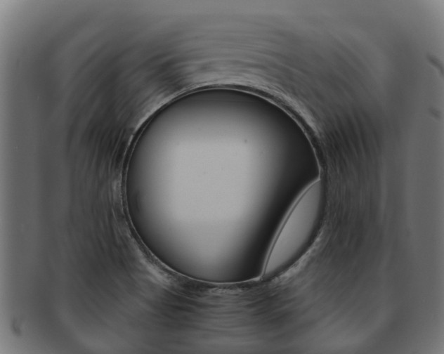 X0000092001513200709061230