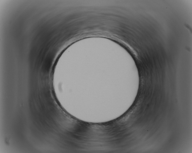 X0000092001514200709061230