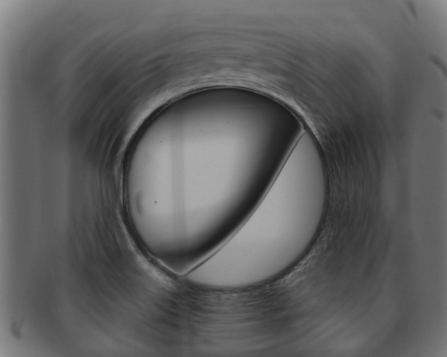 X0000092001515200709061230