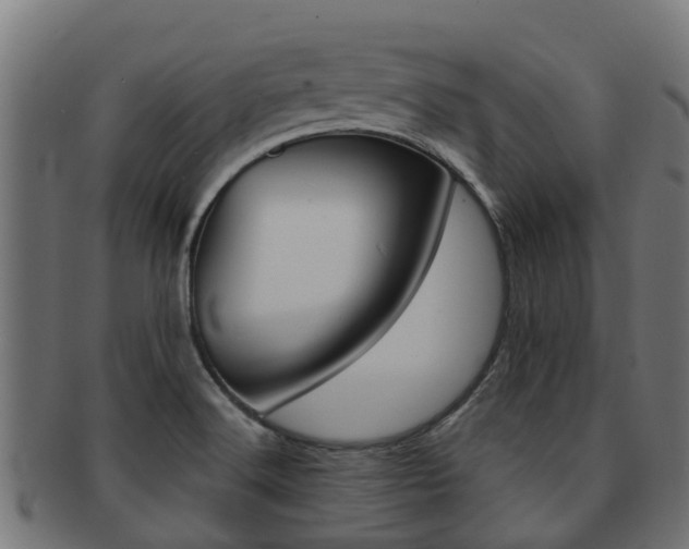 X0000092001516200709061230