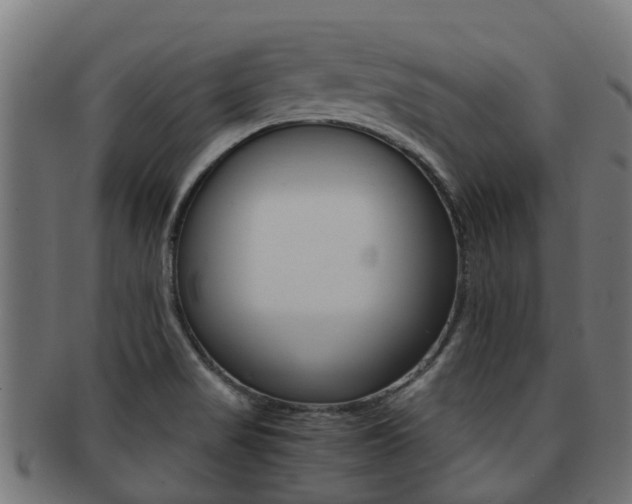X0000092001517200709061230
