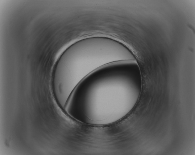 X0000092001518200709061230