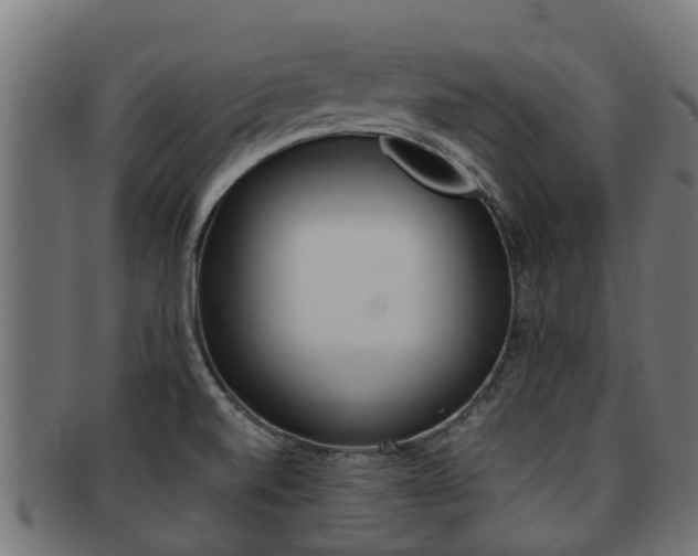 X0000092001520200709061230