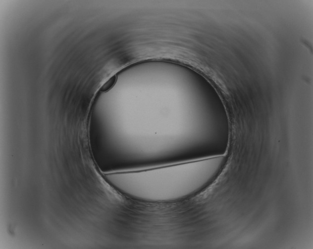 X0000092001521200709061230