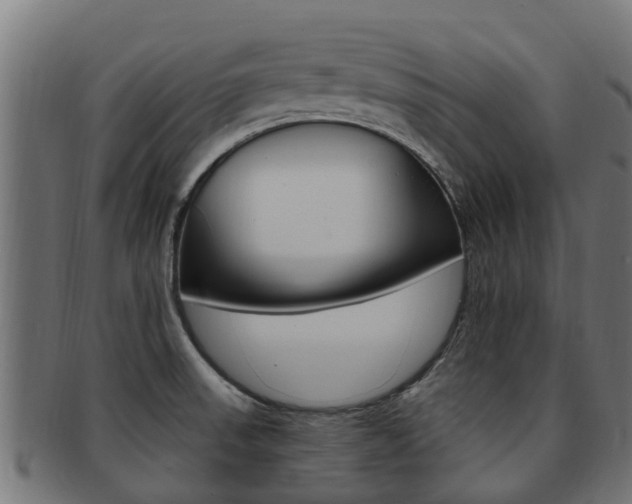 X0000092001523200709061230