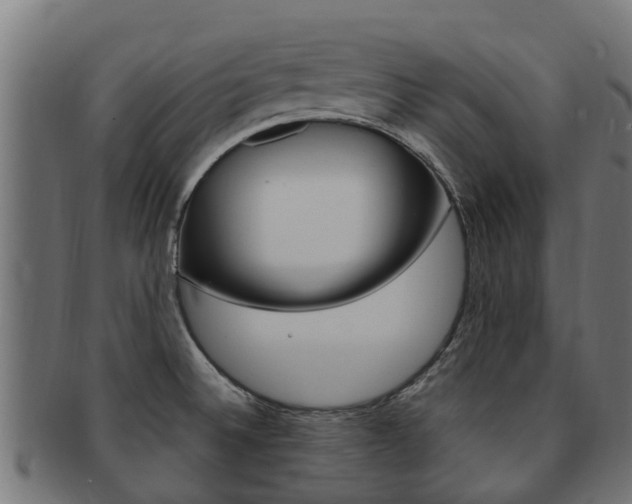 X0000092001524200709061230