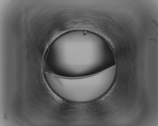 X0000092001525200709061230