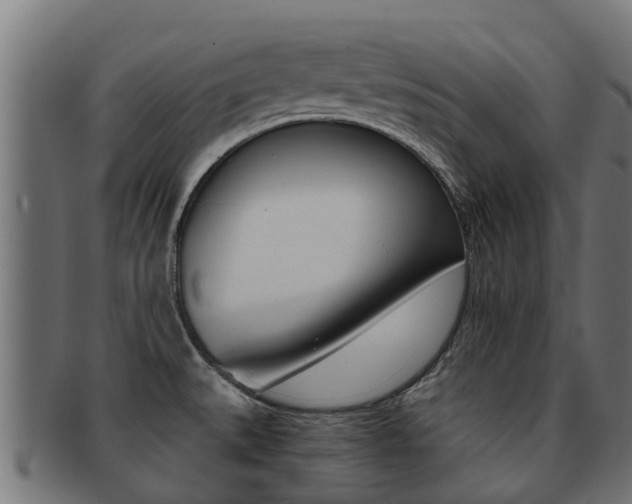 X0000092001527200709061230