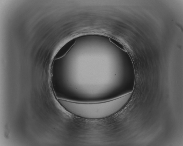 X0000092001528200709061230