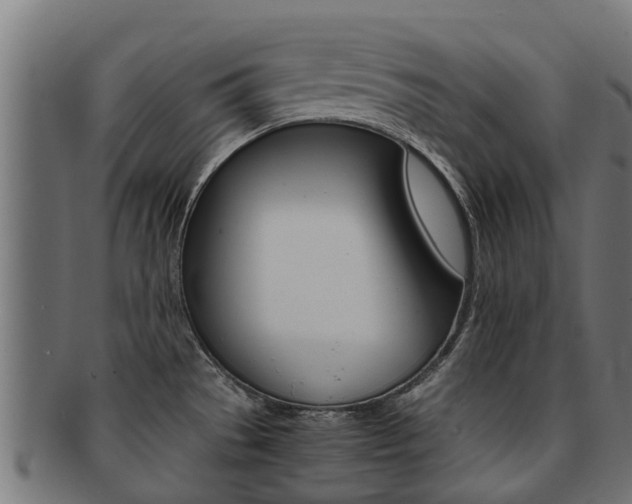 X0000092001529200709061230