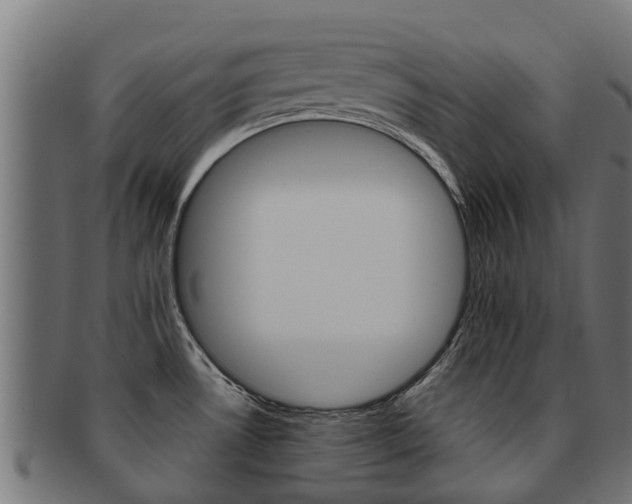 X0000092001530200709061230