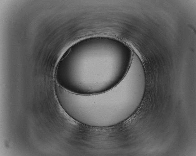 X0000092001532200709061230