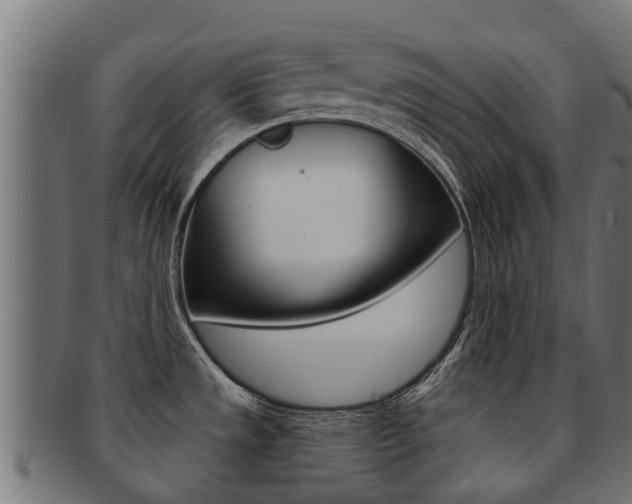 X0000092001533200709061230