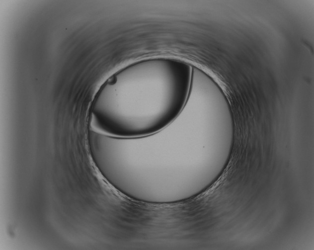 X0000092001534200709061230