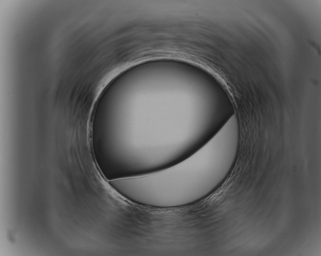 X0000092001535200709061230