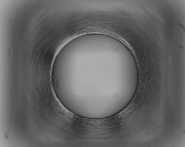 X0000092001536200709061230