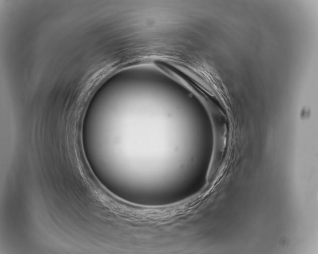 X0000092000001200709061449