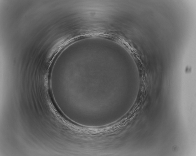 X0000092000002200709061449