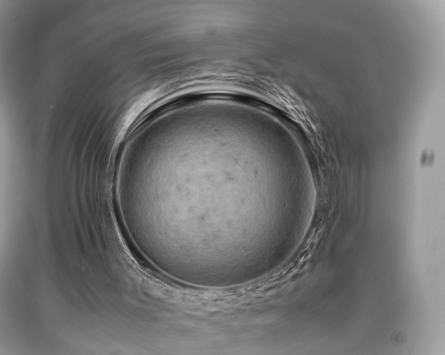 X0000092000003200709061449