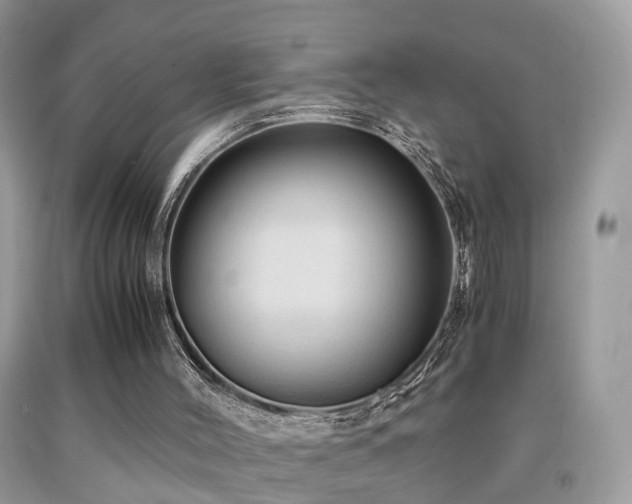 X0000092000004200709061448