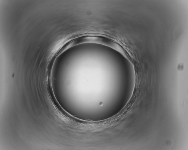 X0000092000005200709061448