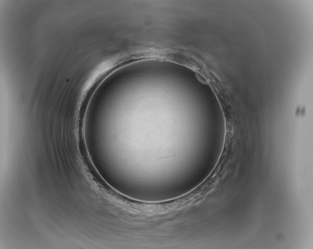 X0000092000006200709061448