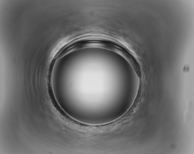 X0000092000007200709061448