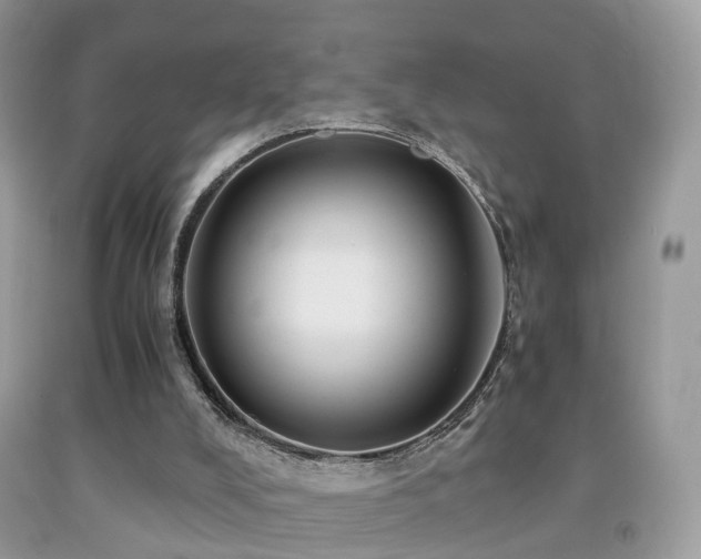 X0000092000008200709061448