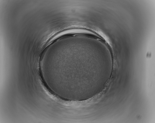 X0000092000009200709061448