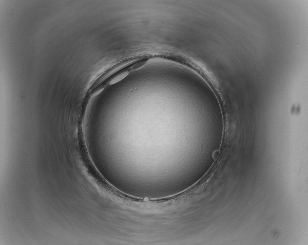 X0000092000010200709061448