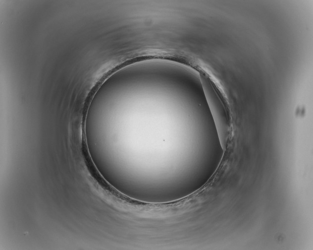 X0000092000011200709061448