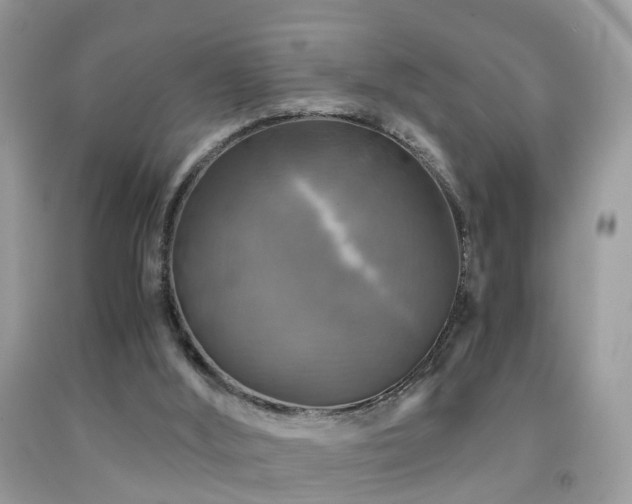 X0000092000012200709061448