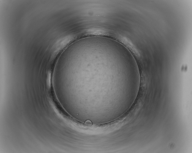 X0000092000014200709061448