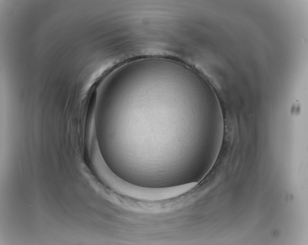 X0000092000015200709061448